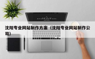 沂南沈阳专业网站制作方案（沈阳专业网站制作公司）